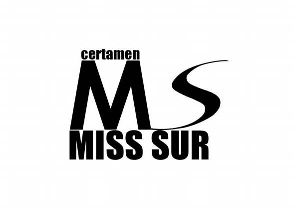 Miss Sur 2013